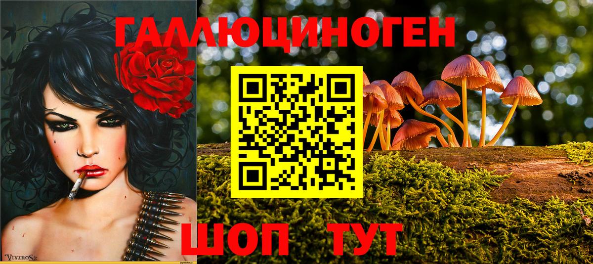купить  сайты  Галлюциногенные грибы мицелий  Вход с VPN  Медногорск  Псилоцибиновые грибы MAGIC MUSHROOMS 