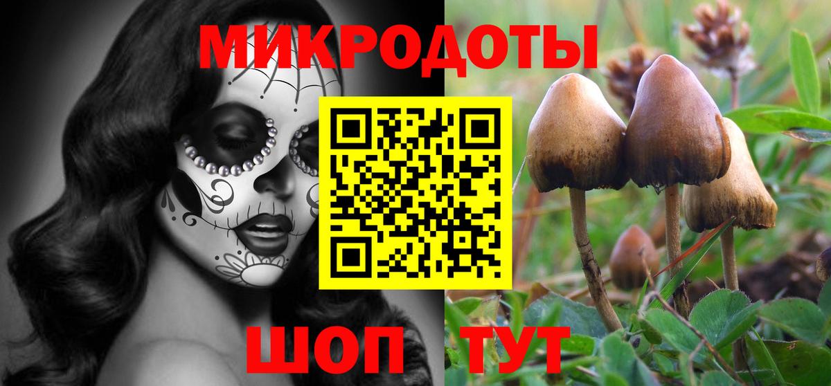 Псилоцибиновые грибы Cubensis Медногорск